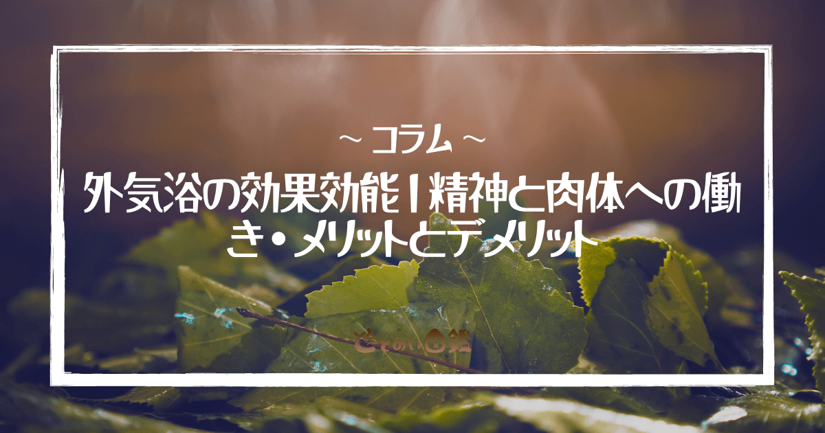 外気浴の効果効能｜精神と肉体への働き・メリットとデメリット