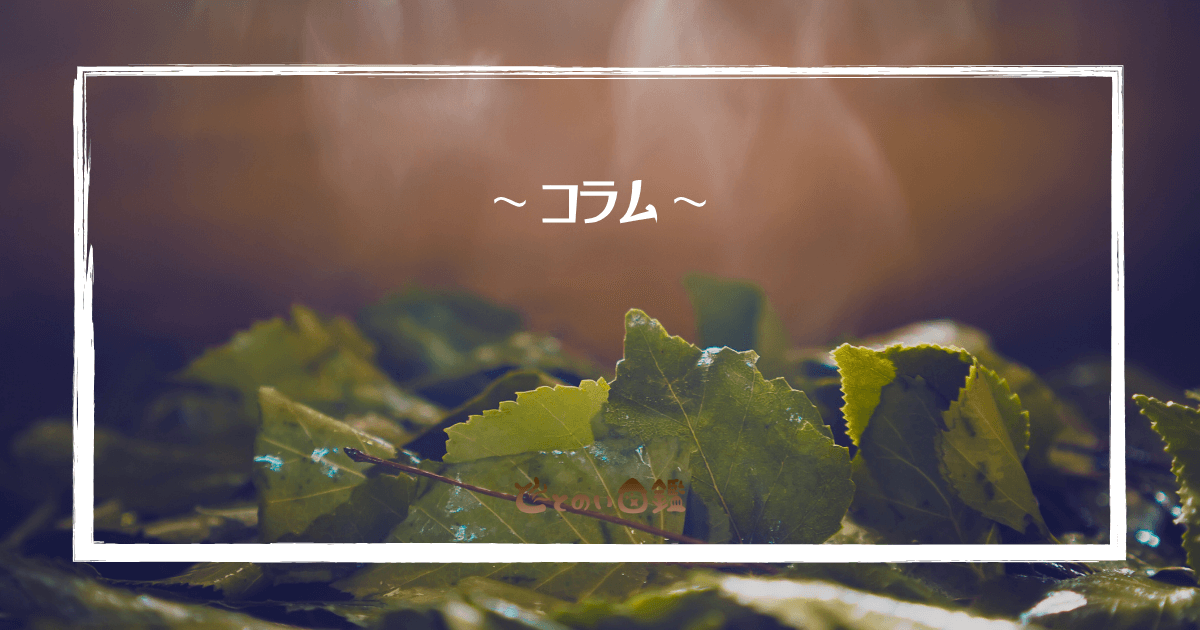 アイキャッチコラム