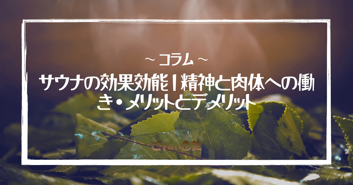 サウナの効果効能｜精神と肉体への働き・メリットとデメリット