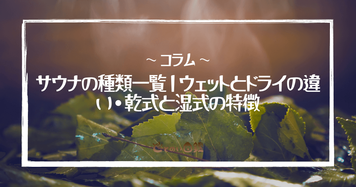 サウナの種類一覧｜ウェットとドライの違い・乾式と湿式の特徴
