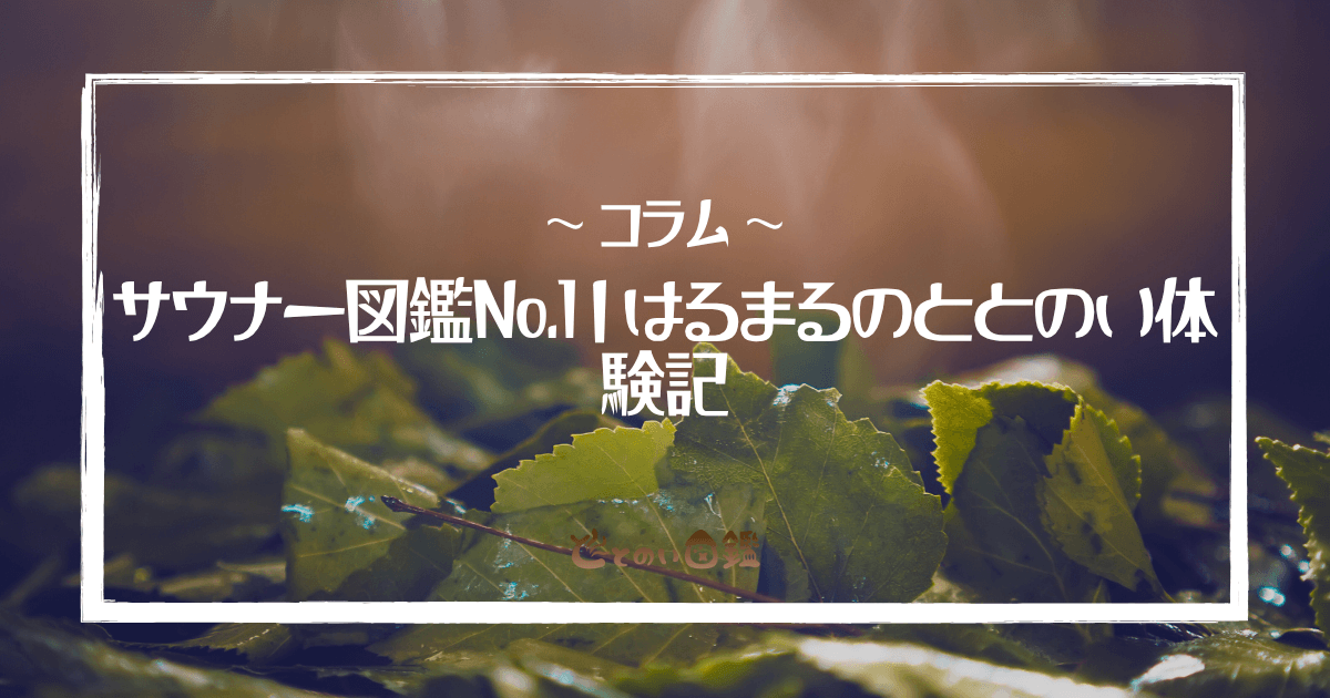 サウナー図鑑No.1｜はるまるのととのい体験記