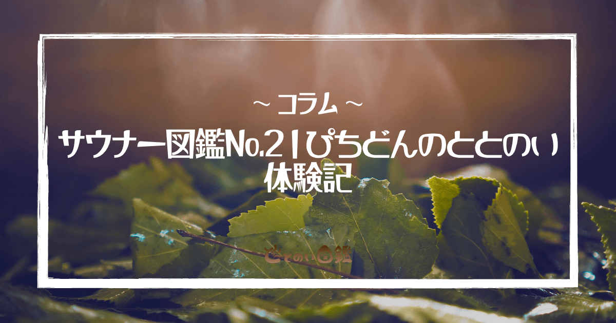 サウナー図鑑No.2｜ぴちどんのととのい体験記